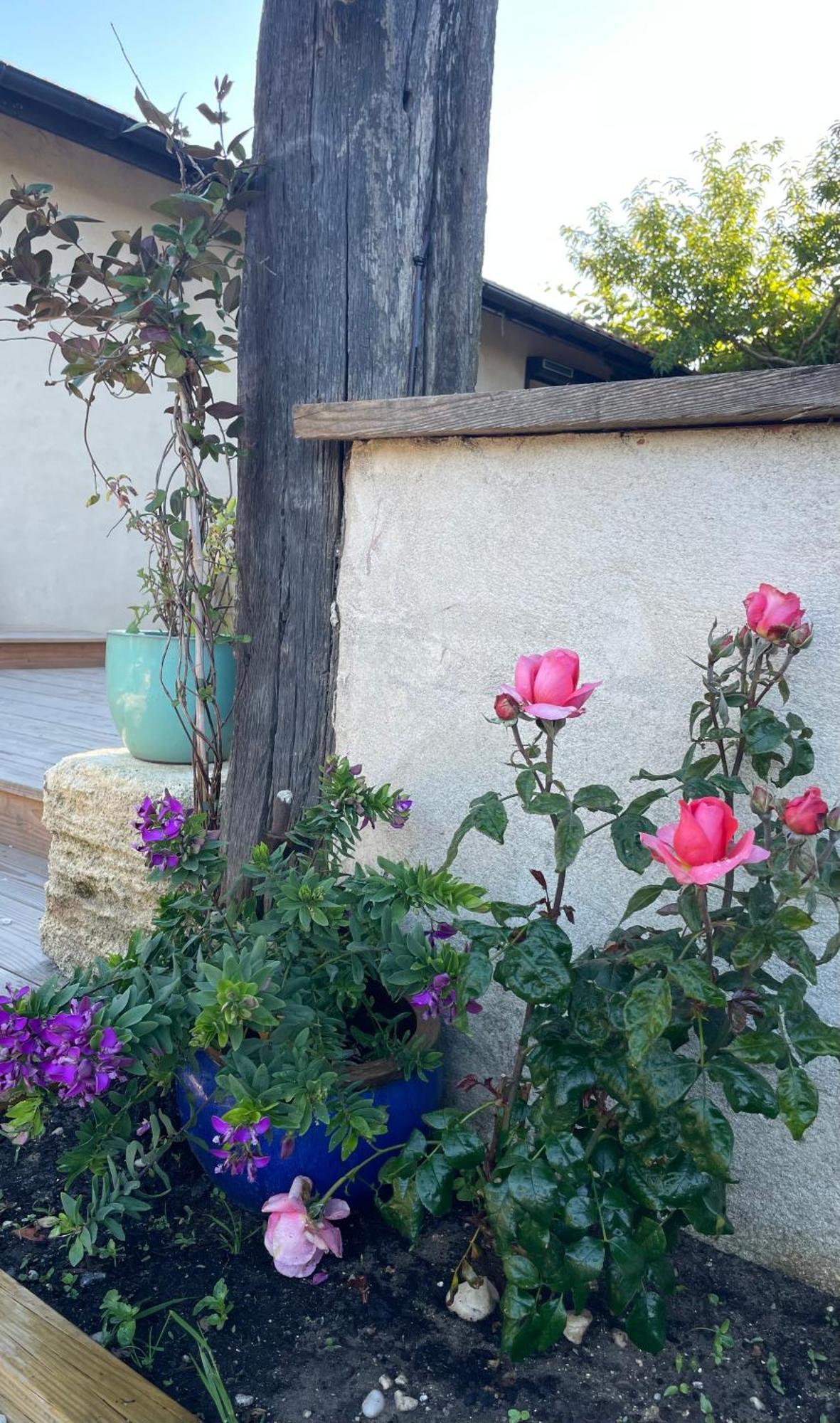 Instant Zen Bed & Breakfast Saint-Vivien-de-Médoc Dış mekan fotoğraf